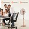 Metal Pedestal Fan 16 Inch Oscillating Adjustable Height 3 Speed